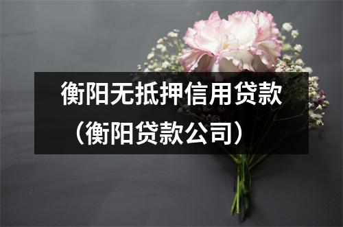 衡阳无抵押信用贷款(衡阳贷款公司)