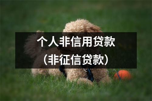 个人非信用贷款（非征信贷款）
