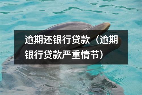 逾期还银行贷款（逾期银行贷款严重情节）