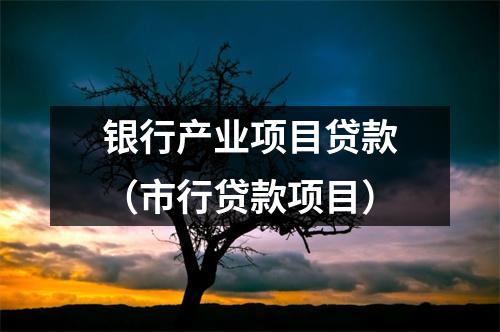 银行产业项目贷款（市行贷款项目）