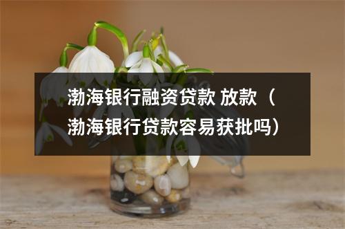 渤海银行融资贷款 放款（渤海银行贷款容易获批吗）