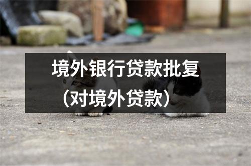 境外银行贷款批复（对境外贷款）