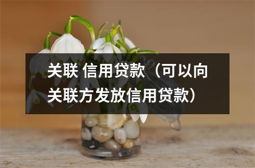 关联 信用贷款（可以向关联方发放信用贷款）