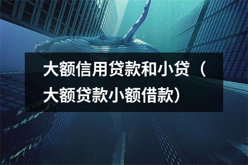 大额信用贷款和小贷（大额贷款小额借款）