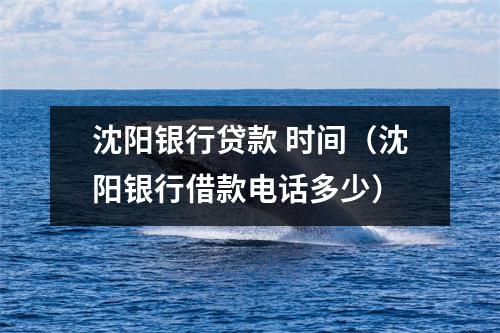 沈阳银行贷款 时间（沈阳银行借款电话多少）