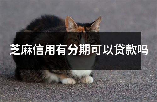 芝麻信用有分期可以贷款吗