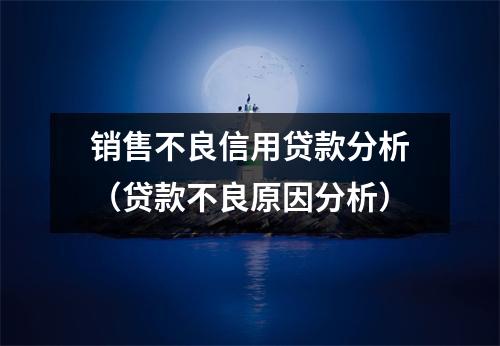 销售不良信用贷款分析（贷款不良原因分析）