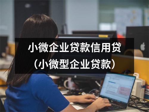 小微企业贷款信用贷（小微型企业贷款）