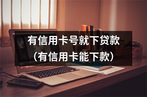 有信用卡号就下贷款（有信用卡能下款）