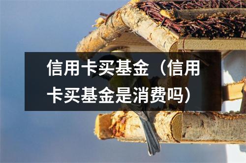 信用卡买基金（信用卡买基金是消费吗）