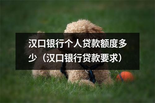 汉口银行个人贷款额度多少(汉口银行贷款要求)