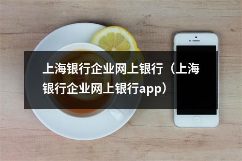 上海银行企业网上银行（上海银行企业网上银行app）