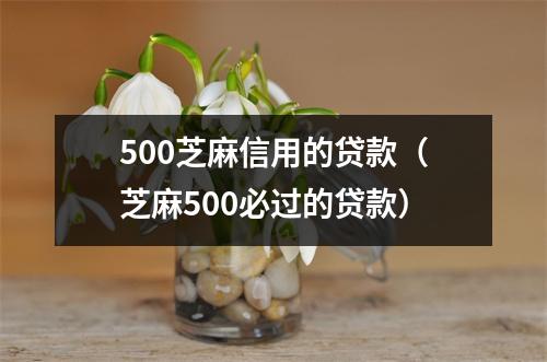 500芝麻信用的贷款（芝麻500必过的贷款）