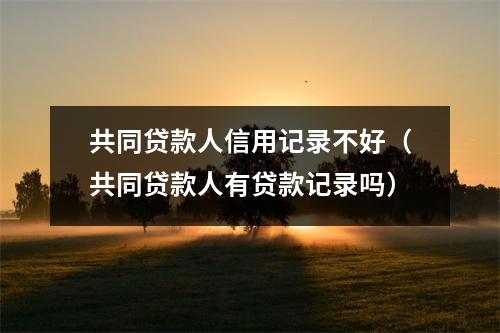 共同贷款人信用记录不好（共同贷款人有贷款记录吗）