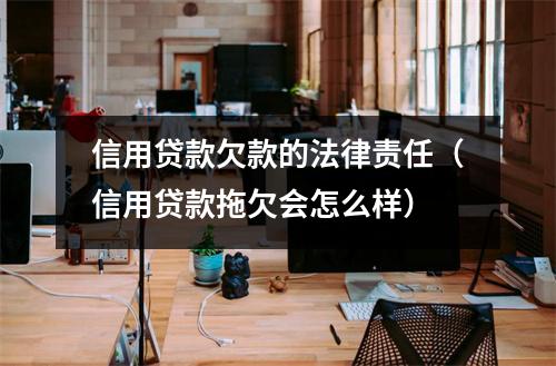 信用贷款欠款的法律责任(信用贷款拖欠会怎么样)