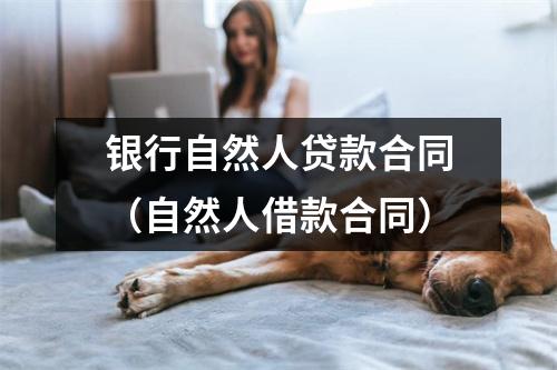 银行自然人贷款合同（自然人借款合同）