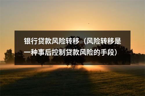 银行贷款风险转移（风险转移是一种事后控制贷款风险的手段）
