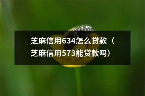 芝麻信用634怎么贷款（芝麻信用573能贷款吗）