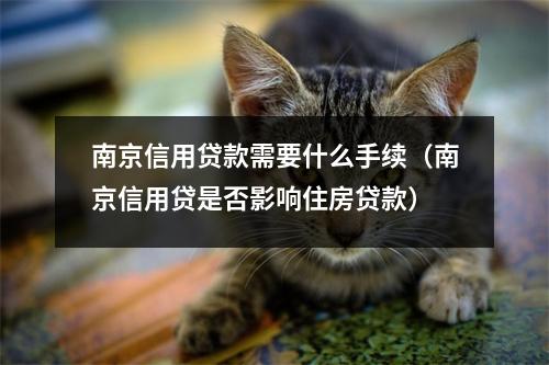 南京信用贷款需要什么手续（南京信用贷是否影响住房贷款）