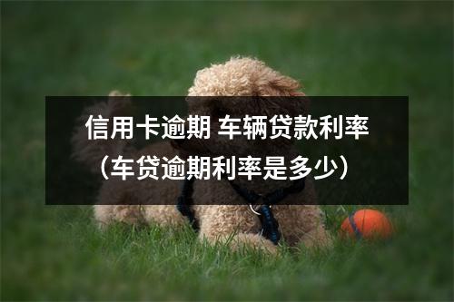 信用卡逾期 车辆贷款利率（车贷逾期利率是多少）