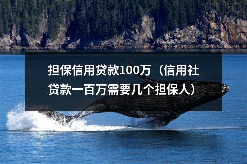 担保信用贷款100万（信用社贷款一百万需要几个担保人）