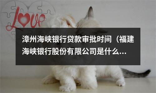 漳州海峡银行贷款审批时间（福建海峡银行股份有限公司是什么贷款平台）