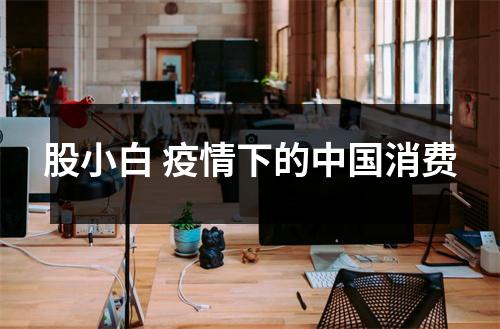 股小白 疫情下的中国消费