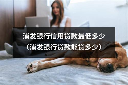 浦发银行信用贷款最低多少(浦发银行贷款能贷多少)