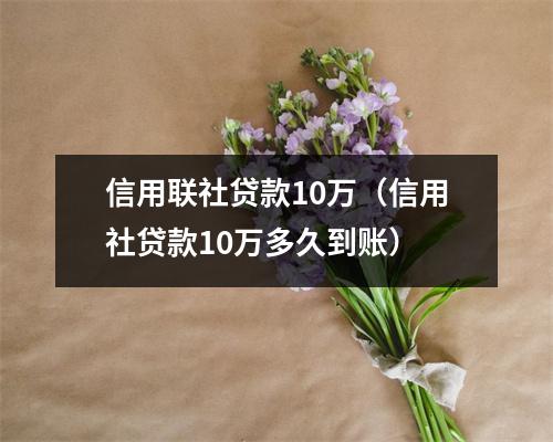 信用联社贷款10万（信用社贷款10万多久到账）