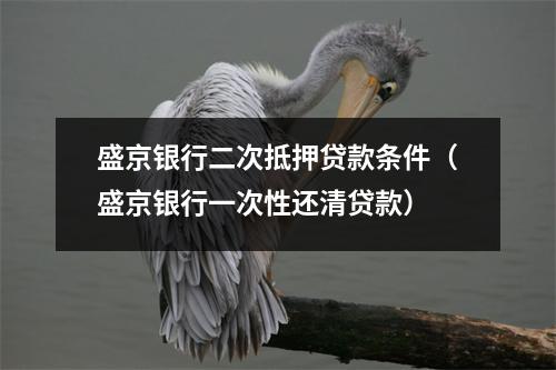 盛京银行二次抵押贷款条件（盛京银行一次性还清贷款）