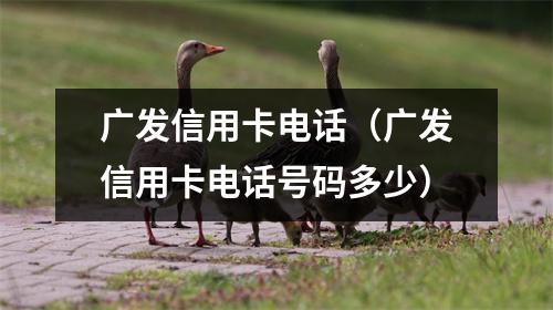 广发信用卡电话(广发信用卡电话号码多少)