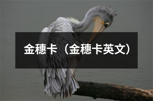 金穗卡（金穗卡英文）