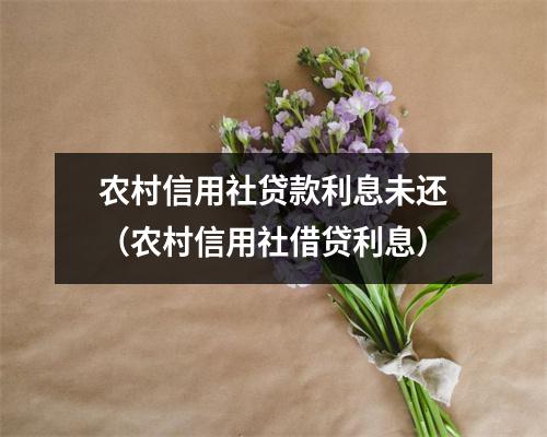 农村信用社贷款利息未还(农村信用社借贷利息)