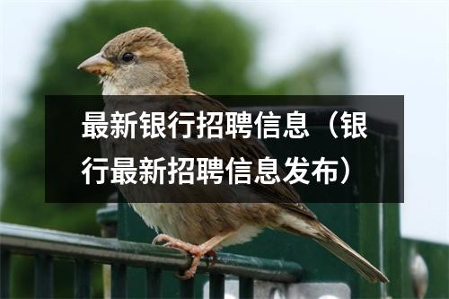 最新银行招聘信息(银行最新招聘信息发布)