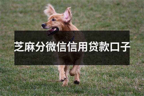 芝麻分微信信用贷款口子