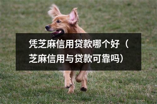 凭芝麻信用贷款哪个好（芝麻信用与贷款可靠吗）