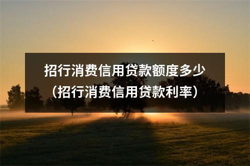 招行消费信用贷款额度多少（招行消费信用贷款利率）