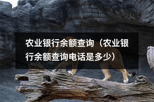 农业银行余额查询（农业银行余额查询电话是多少）