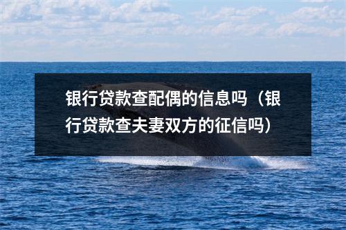 银行贷款查配偶的信息吗(银行贷款查夫妻双方的征信吗)