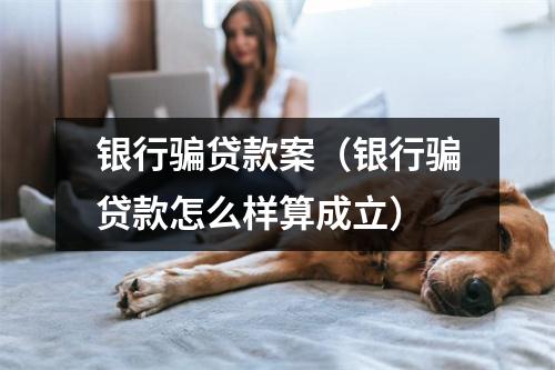 银行骗贷款案（银行骗贷款怎么样算成立）