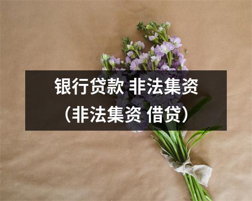 银行贷款 非法集资（非法集资 借贷）