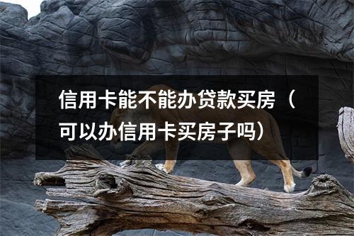 信用卡能不能办贷款买房（可以办信用卡买房子吗）