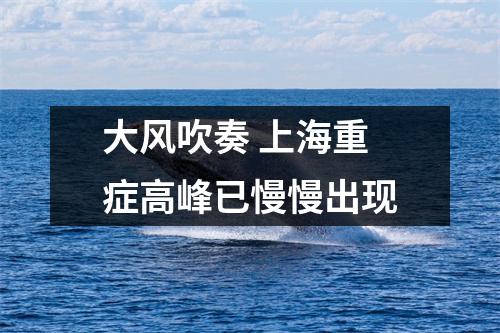 大风吹奏 上海重症高峰已慢慢出现