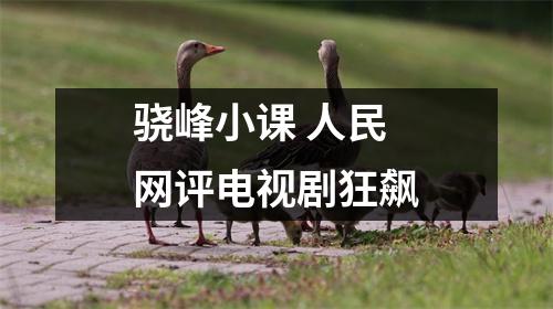 骁峰小课 人民网评电视剧狂飙