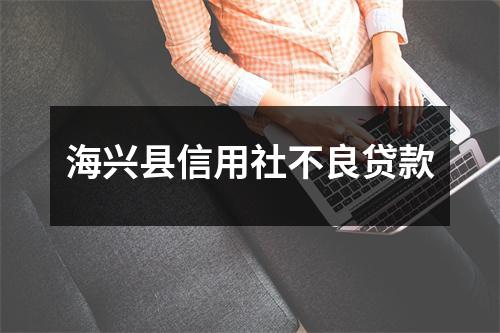 海兴县信用社不良贷款