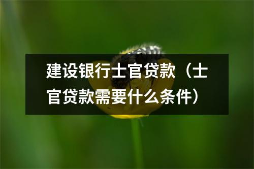 建设银行士官贷款（士官贷款需要什么条件）