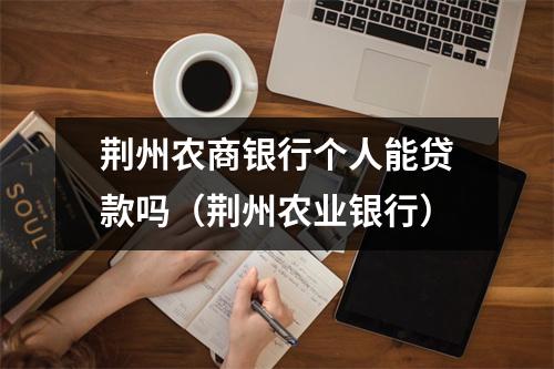 荆州农商银行个人能贷款吗（荆州农业银行）