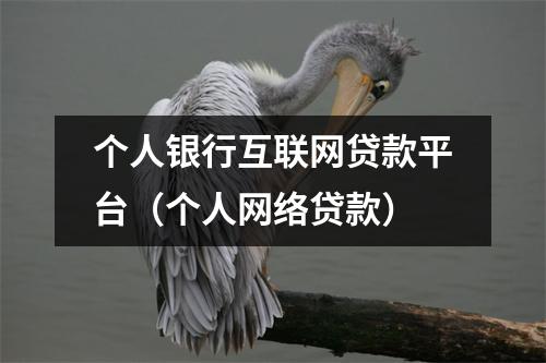 个人银行互联网贷款平台（个人网络贷款）