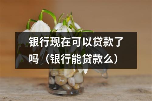 银行现在可以贷款了吗（银行能贷款么）