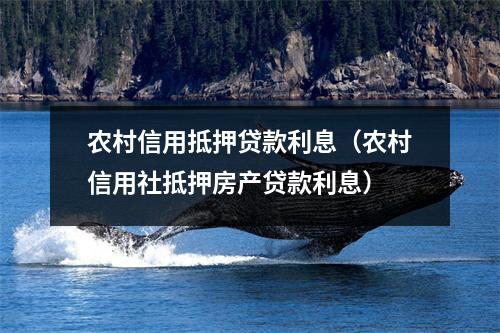 农村信用抵押贷款利息（农村信用社抵押房产贷款利息）